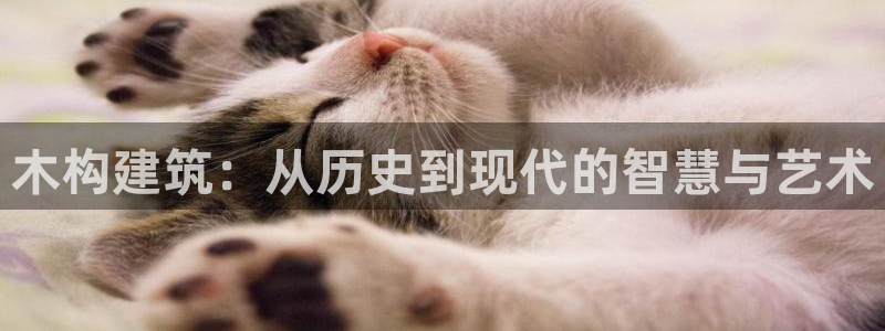 贵州先锋娱乐：木构建筑：从历史到现代的智慧与艺术