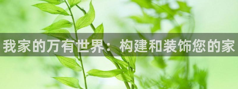先锋娱乐在线：我家的万有世界：构建和装饰您的家