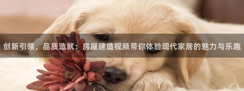 先锋娱乐炸金花：创新引领，品质造就：房屋建造视频带你体验现代家居的魅力与乐趣
