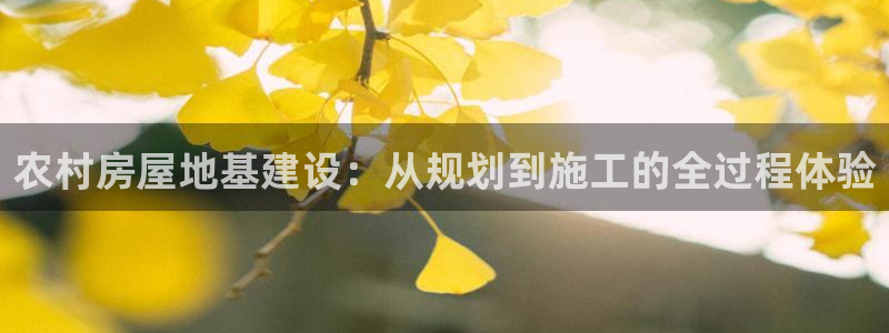 先锋娱乐平台：农村房屋地基建设：从规划到施工的全过程体验