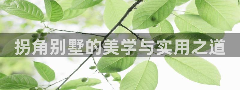 先锋娱乐大厅斗牛