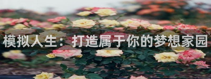 先锋娱乐大厅首页：模拟人生：打造属于你的梦想家园