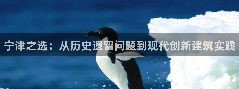 先锋娱乐大厅有挂吗：宁津之选：从历史遗留问题到现代创新建筑实践