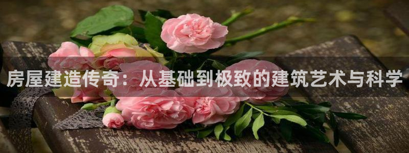 先锋娱乐垫付金额