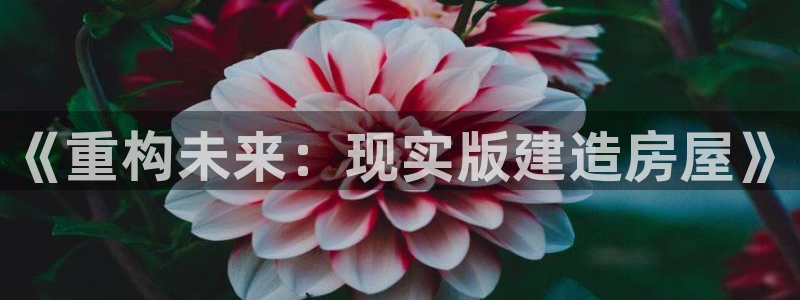 先锋娱乐团：《重构未来：现实版建造房屋》