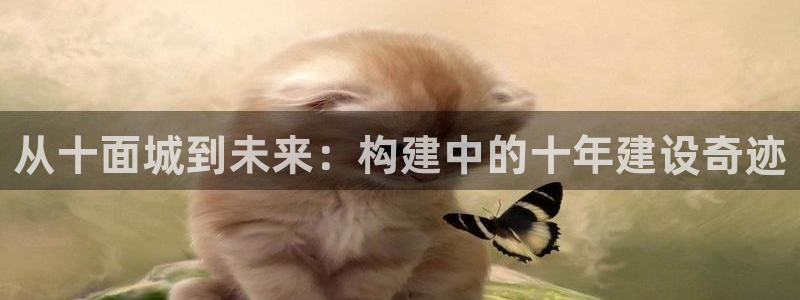 先锋娱乐会所地址：从十面城到未来：构建中的十年建设奇迹