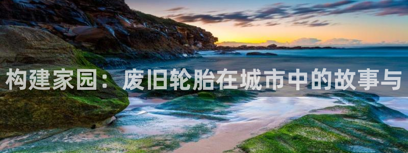 先锋娱乐大厅牛牛：构建家园：废旧轮胎在城市中的故事与