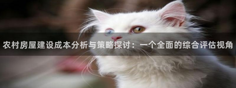 先锋娱乐币：农村房屋建设成本分析与策略探讨：一个全面的综合评估视角