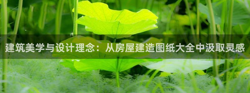 先锋娱乐游戏上分地址：建筑美学与设计理念：从房屋建造图纸大全中汲取灵感