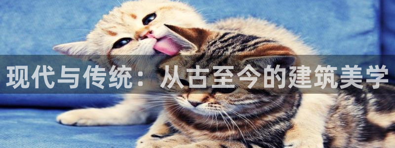 先锋娱乐资讯：现代与传统：从古至今的建筑美学