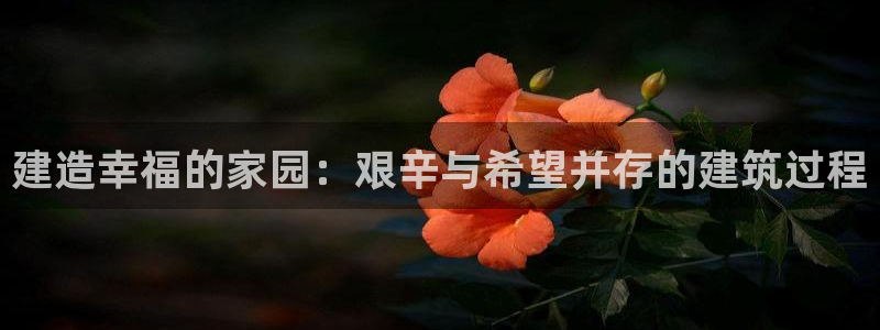 先锋娱乐游戏软件：建造幸福的家园：艰辛与希望并存的建筑过程