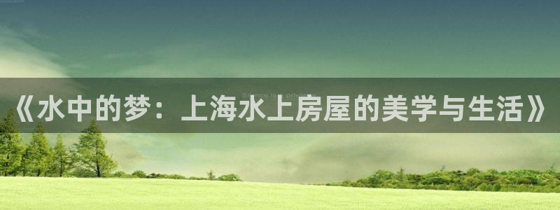 先锋娱乐账号注册不了：《水中的梦：上海水上房屋的美学与生活》