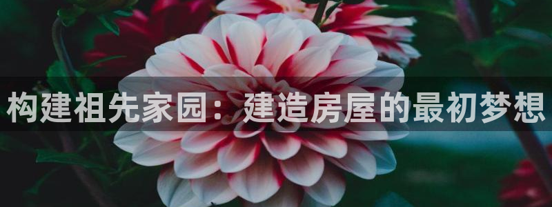 先锋互动娱乐