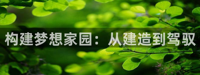 先锋娱乐系统