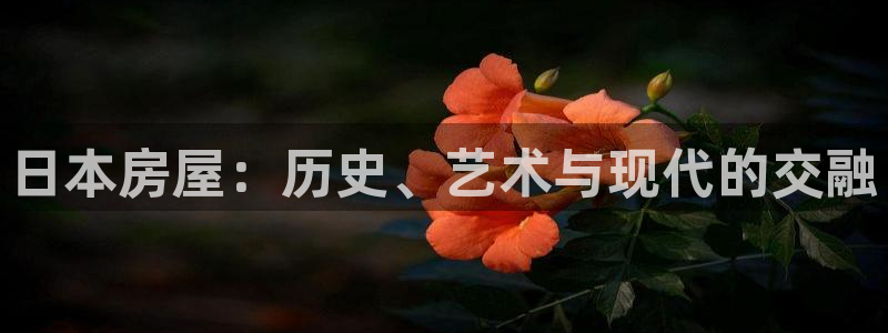 先锋娱乐集团：日本房屋：历史、艺术与现代的交融
