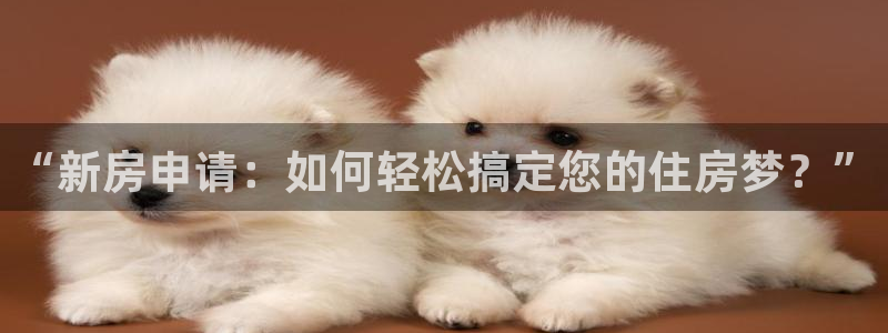 先锋娱乐团：“新房申请：如何轻松搞定您的住房梦？”