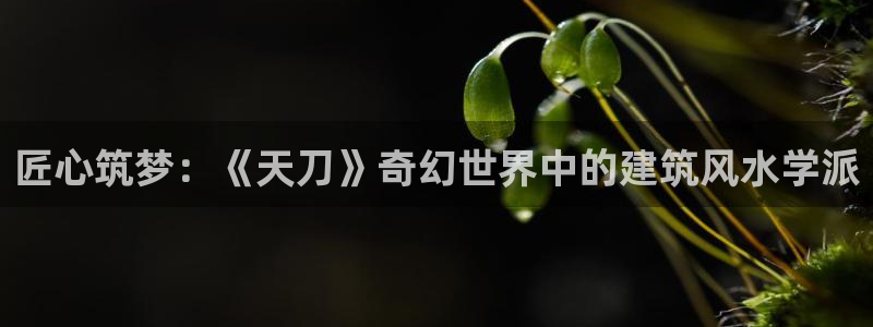 先锋娱乐资讯：匠心筑梦：《天刀》奇幻世界中的建筑风水学派