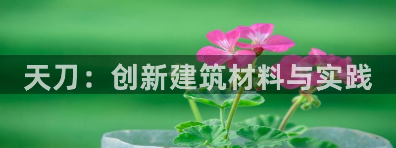 先锋方舟娱乐集团：天刀：创新建筑材料与实践