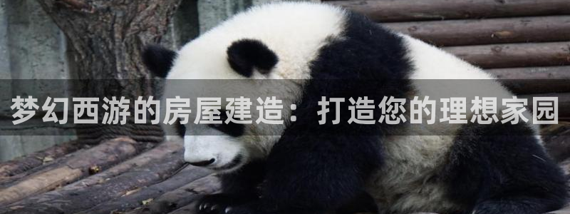 娱乐急先锋李诞甄子丹