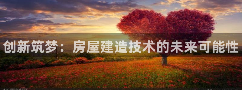 娱乐先锋捕鱼客服：创新筑梦：房屋建造技术的未来可能性