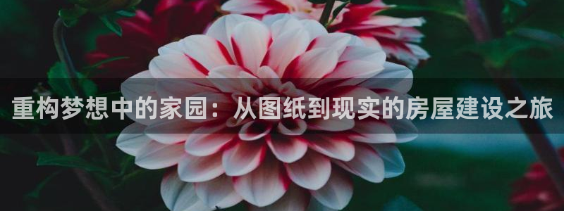 威斯汀娱乐先锋：重构梦想中的家园：从图纸到现实的房屋建设之旅