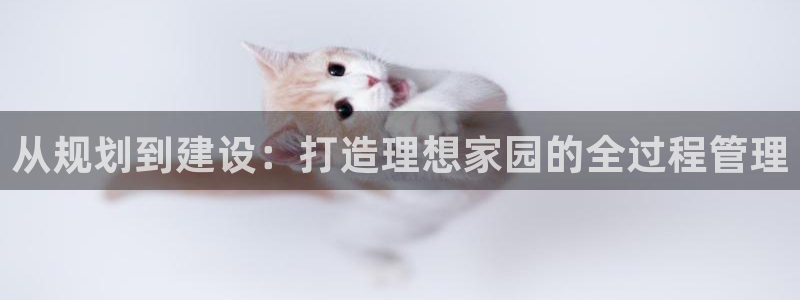 先锋娱乐大厅斗牛：从规划到建设：打造理想家园的全过程管理