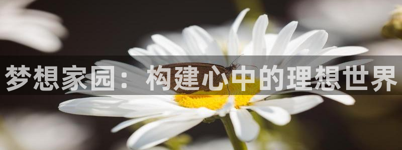 先锋娱乐扑克：梦想家园：构建心中的理想世界