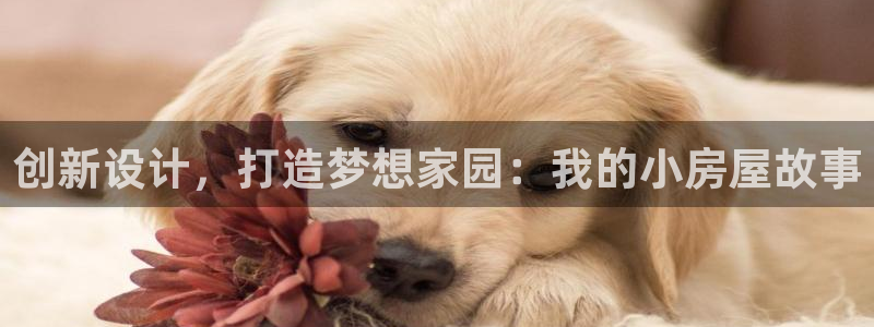 先锋娱乐游戏软件：创新设计，打造梦想家园：我的小房屋故事