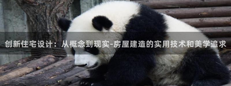 先锋娱乐挂：创新住宅设计：从概念到现实-房屋建造的实用技术和美学追求