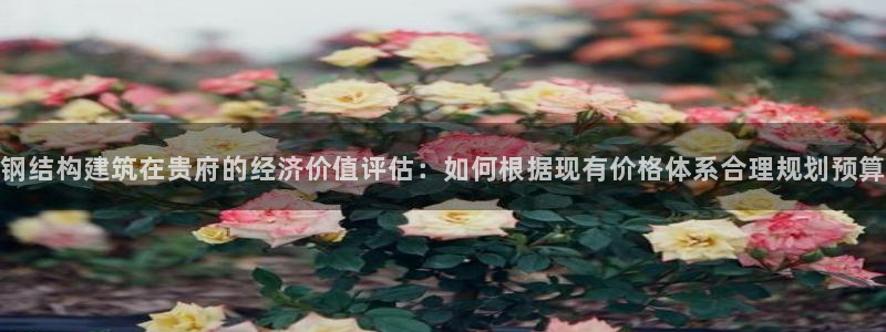 先锋娱乐公司正规吗吗：钢结构建筑在贵府的经济价值评估：如何根据现有价格体系合理规划预算
