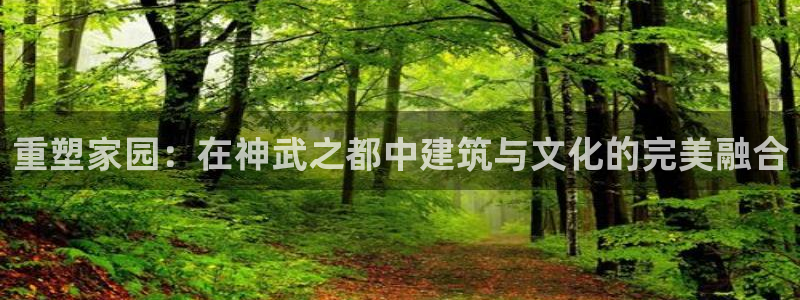 先锋娱乐股票：重塑家园：在神武之都中建筑与文化的完美融合
