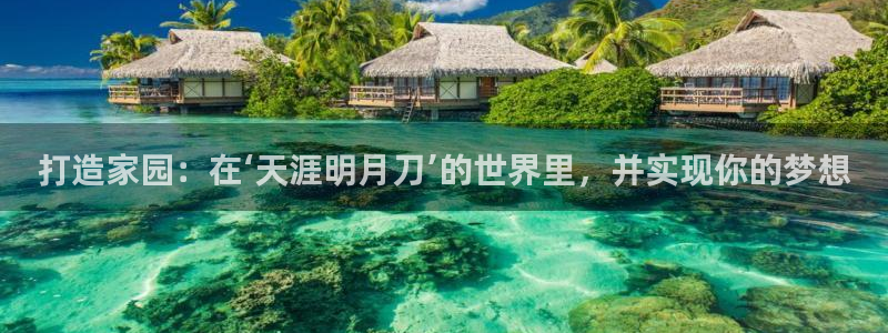 先锋娱乐入口：打造家园：在‘天涯明月刀’的世界里，并实现你的梦想