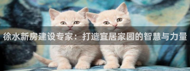 先锋娱乐棋牌：徐水新房建设专家：打造宜居家园的智慧与力量
