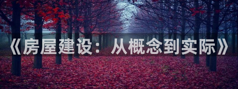 先锋娱乐场所：《房屋建设：从概念到实际》
