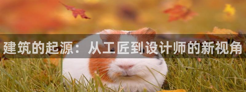 先锋娱乐资讯官网入口：建筑的起源：从工匠到设计师的新视角