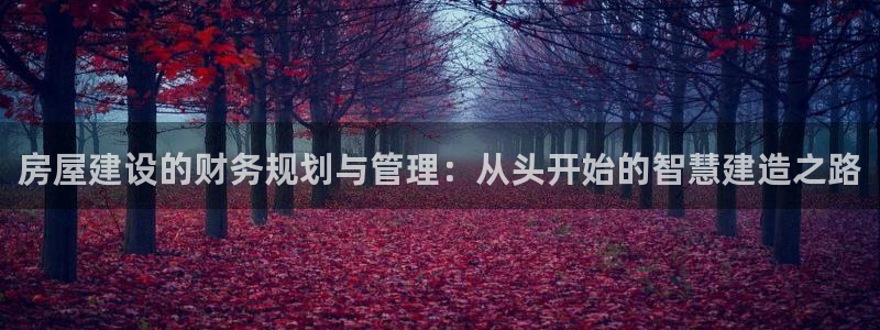 先锋娱乐资讯官网入口：房屋建设的财务规划与管理：从头开始的智慧建造之路