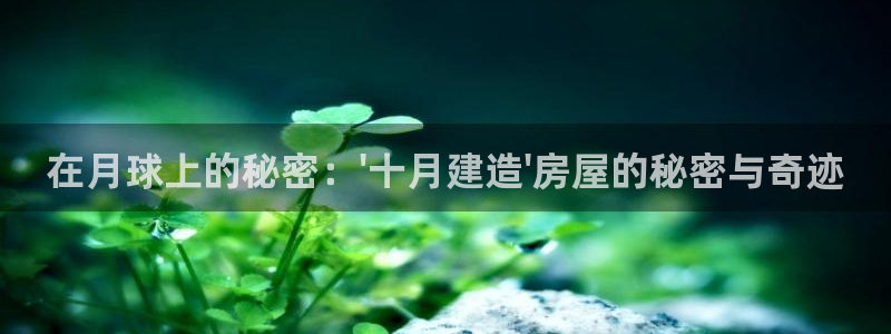 先锋娱乐侠