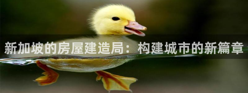 先锋队娱乐：新加坡的房屋建造局：构建城市的新篇章
