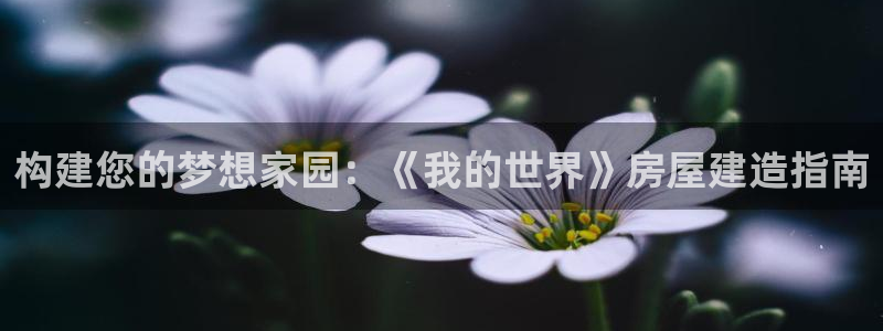 亚洲先锋娱乐登录：构建您的梦想家园：《我的世界》房屋建造指南