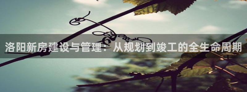 亚洲先锋娱乐行情：洛阳新房建设与管理：从规划到竣工的全生命周期