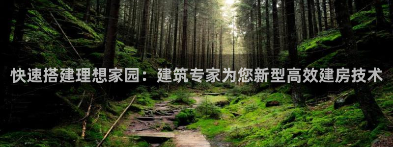 先锋电子车载娱乐系统：快速搭建理想家园：建筑专家为您新型高效建房技术