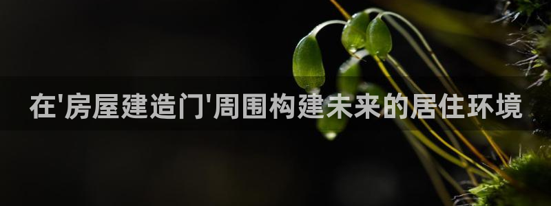 先锋娱乐公司正规吗吗：在\'房屋建造门\'周围构建未来的居住环境