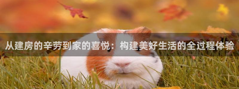 娱乐先锋捕鱼客服：从建房的辛劳到家的喜悦：构建美好生活的全过程体验
