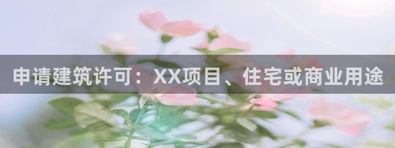 先锋娱乐赛：申请建筑许可：XX项目、住宅或商业用途