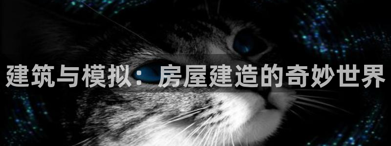 先锋综合娱乐：建筑与模拟：房屋建造的奇妙世界