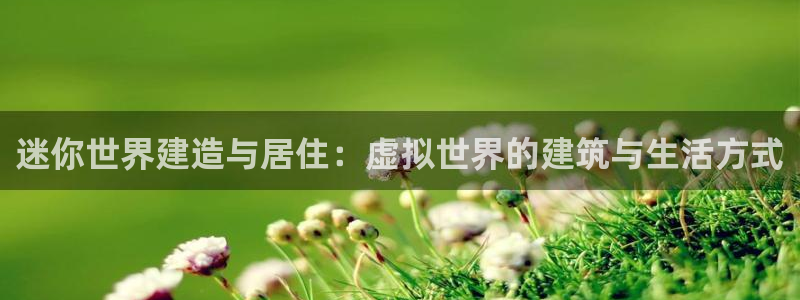 先锋娱乐邀请码多少位啊：迷你世界建造与居住：虚拟世界的建筑与生活方式