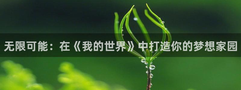 先锋娱乐棋牌有挂吗：无限可能：在《我的世界》中打造你的梦想家园