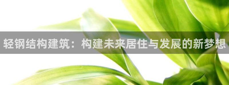 先锋娱乐情报：轻钢结构建筑：构建未来居住与发展的新梦想