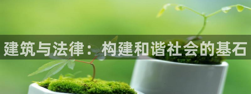 先锋娱乐大厅透视：建筑与法律：构建和谐社会的基石