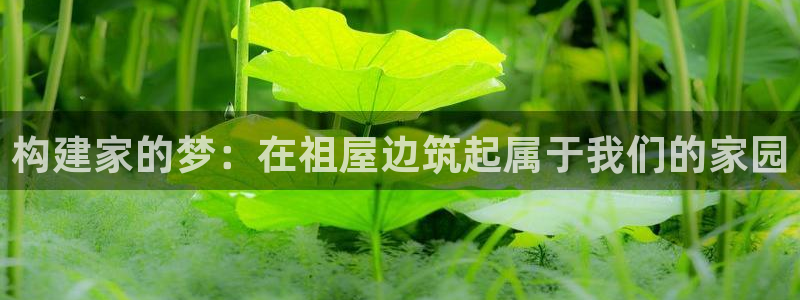 先锋娱乐注册：构建家的梦：在祖屋边筑起属于我们的家园